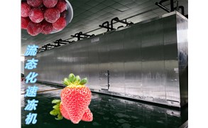 黃桃速凍生產線